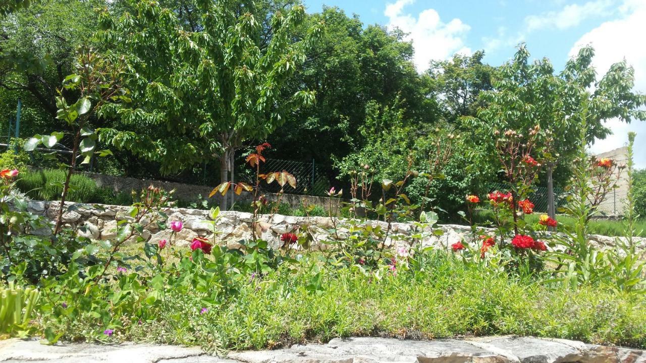 Villa Cetina Milasi 外观 照片