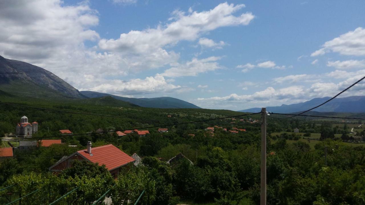Villa Cetina Milasi 外观 照片