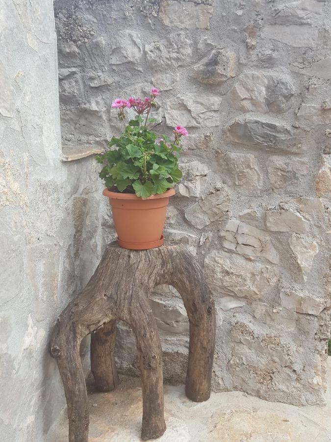 Villa Cetina Milasi 外观 照片