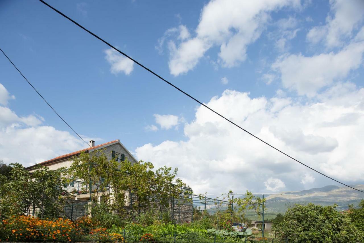 Villa Cetina Milasi 外观 照片